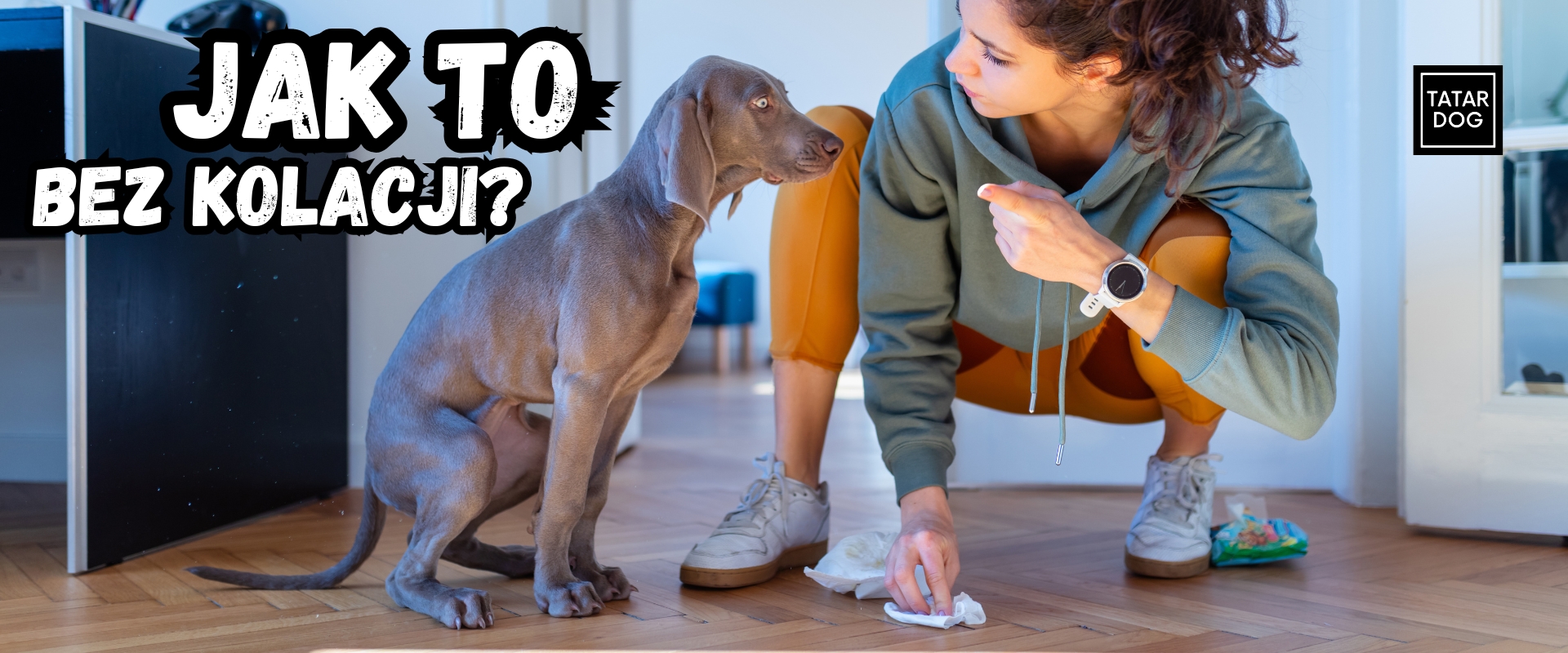 jak nauczyć szczeniaka czystości w domu?